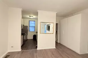 642 N Dearborn St, Chicago, IL 60654 - Photo 12