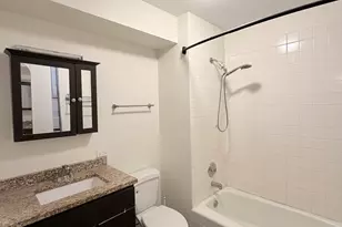 642 N Dearborn St, Chicago, IL 60654 - Photo 18