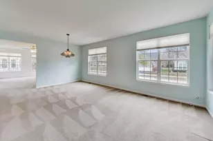 1129 Drury Ln, Aurora, IL 60502 - Photo 4