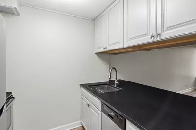 233 E Erie Street #2203, Chicago, IL 60611 - Photo 10