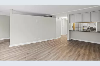 233 E Erie Street #2203, Chicago, IL 60611 - Photo 4