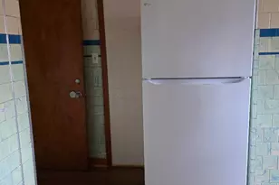 2632 S Princeton Ave, Chicago, IL 60616 - Photo 4