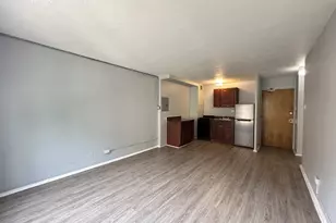 1040 W Hollywood Ave, Chicago, IL 60660 - Photo 6
