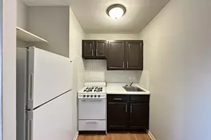 4610 N Dover St, Chicago, IL 60640 - Photo 2