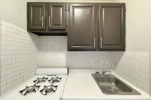 4610 N Dover St, Chicago, IL 60640 - Photo 4