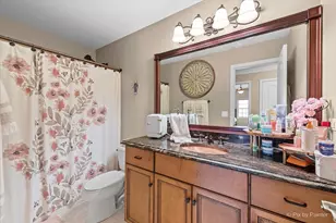 13302 Rosewood Ln, Plainfield, IL 60585 - Photo 30