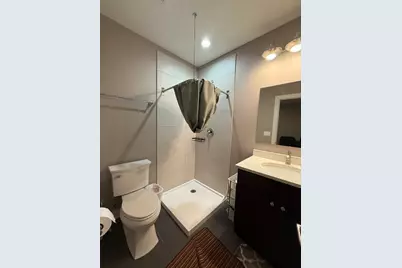 1017 S Claremont Avenue, Chicago, IL 60612 - Photo 16