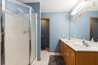 25821 S Sunrise Court, Monee, IL 60449 - Photo 16