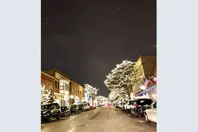 502 W Miner Street #2A, Arlington Heights, IL 60005 - Photo 28