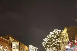 502 W Miner St, Arlington Heights, IL 60005 - Photo 28