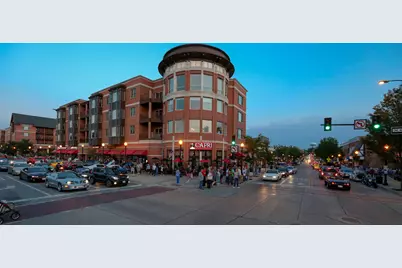 1533 Grant Street, Downers Grove, IL 60515 - Photo 50