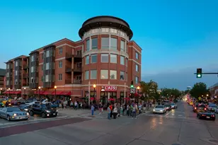 1533 Grant St, Downers Grove, IL 60515 - Photo 50