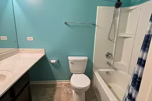 3619 Daisy Ln, Elgin, IL 60124 - Photo 20