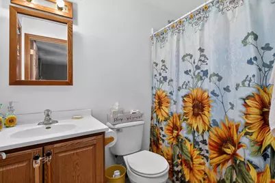 194 Fossil Cove Lane, Wilmington, IL 60481 - Photo 20