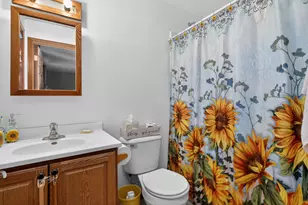 194 Fossil Cove Ln, Wilmington, IL 60481 - Photo 20