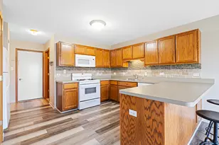 274 White Hawk Way, Manteno, IL 60950 - Photo 14