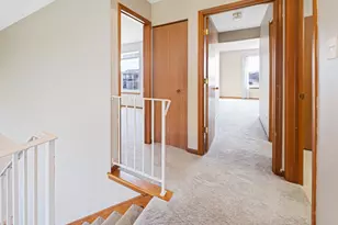 274 White Hawk Way, Manteno, IL 60950 - Photo 20