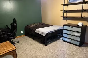 1466 Mollie Dr, Morris, IL 60450 - Photo 22