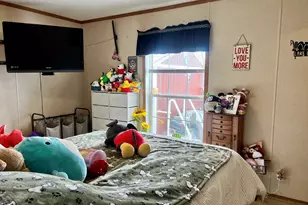 27 Lakeview Rd, Gays, IL 61928 - Photo 18