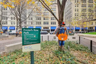 780 S Federal Street #903, Chicago, IL 60605 - Photo 28