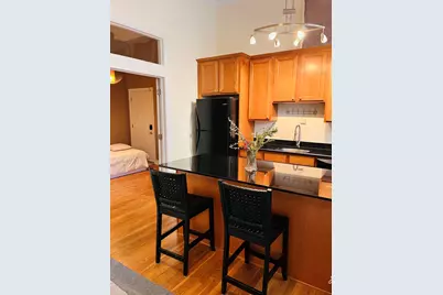 1707 N Paulina Street #102, Chicago, IL 60622 - Photo 6