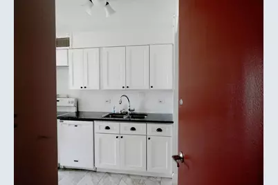 601 E 32nd Street #400, Chicago, IL 60616 - Photo 4