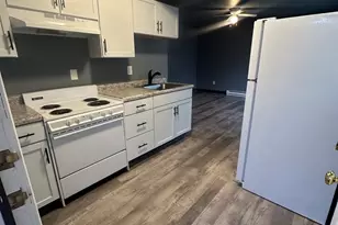 530 E 3rd St, Coal City, IL 60416 - Photo 2