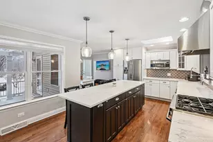 131 W Chicago Ave, Downers Grove, IL 60515 - Photo 10