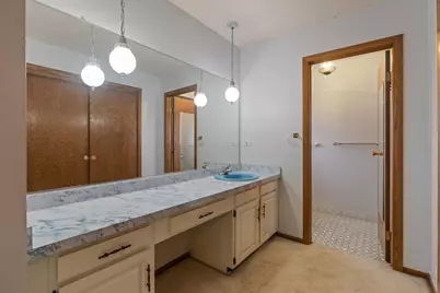 2939 E Hickory Lane, Crete, IL 60417 - Photo 26