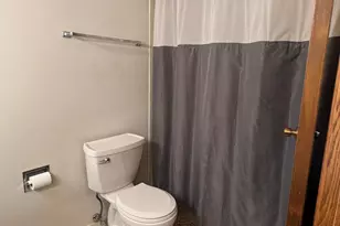 2939 E Hickory Ln, Crete, IL 60417 - Photo 4