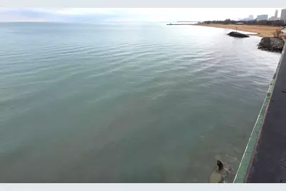 6033 N Sheridan Road #35F, Chicago, IL 60660 - Photo 22