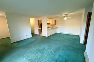 1345 Cunat Ct, Lake in the Hills, IL 60156 - Photo 6