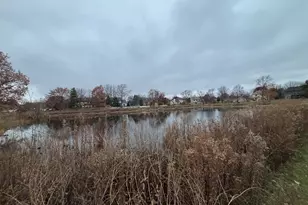 1207 Quail Run Ave, Bolingbrook, IL 60490 - Photo 16