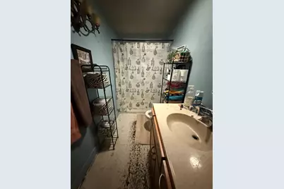 599 N School Street, Braidwood, IL 60408 - Photo 8