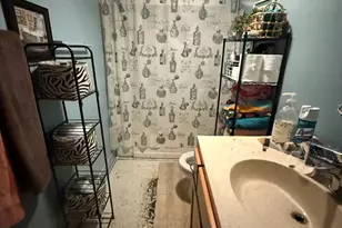 599 N School St, Braidwood, IL 60408 - Photo 8