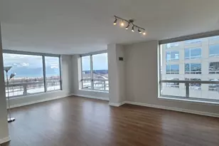 1841 S Calumet Ave, Chicago, IL 60616 - Photo 2