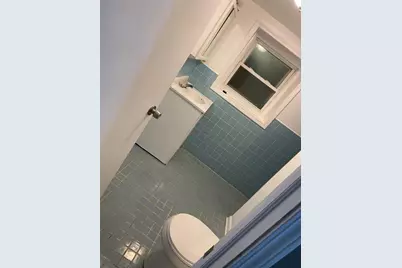 4806 S Karlov Avenue, Chicago, IL 60632 - Photo 20