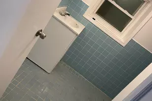 4806 S Karlov Ave, Chicago, IL 60632 - Photo 20