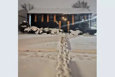 295 Chappel Avenue, Calumet City, IL 60409 - Photo 2