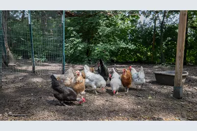 11N226 Peplow Road, Hampshire, IL 60140 - Photo 44