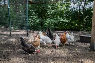 11N226 Peplow Rd, Hampshire, IL 60140 - Photo 44