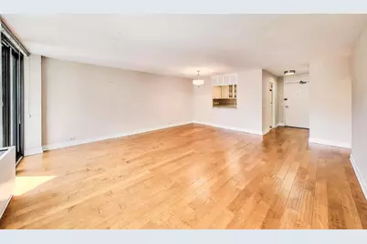 1560 N Sandburg Terrace #510, Chicago, IL 60610 - Photo 8