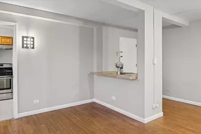 7206 Oak Avenue #4SE, River Forest, IL 60305 - Photo 6