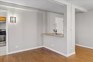 7206 Oak Ave, River Forest, IL 60305 - Photo 6