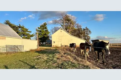 86 County Road 575, Pesotum, IL 61863 - Photo 30