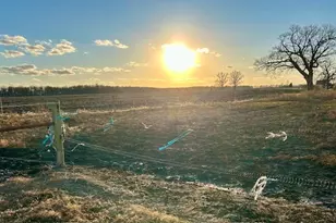 86 County Road 575, Pesotum, IL 61863 - Photo 24