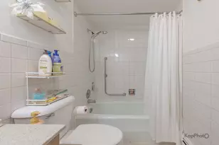 4820 Conrad St, Skokie, IL 60077 - Photo 26