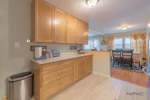4820 Conrad St, Skokie, IL 60077 - Photo 14