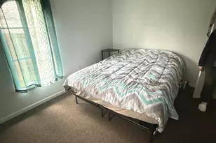 161 S Will Rd, Braidwood, IL 60408 - Photo 8