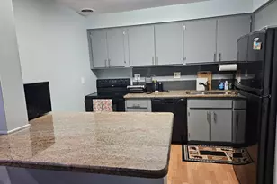 603 E Falcon Dr, Arlington Heights, IL 60005 - Photo 6